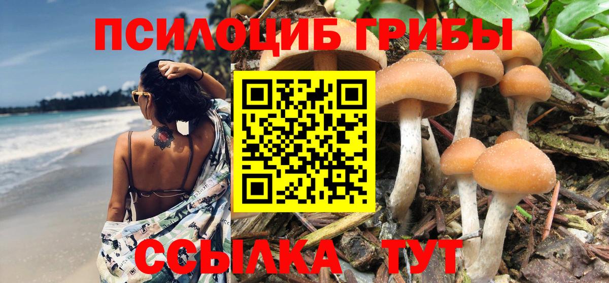 как найти   Вход с VPN  Приморско-Ахтарск  Псилоцибиновые грибы Magic Shrooms 