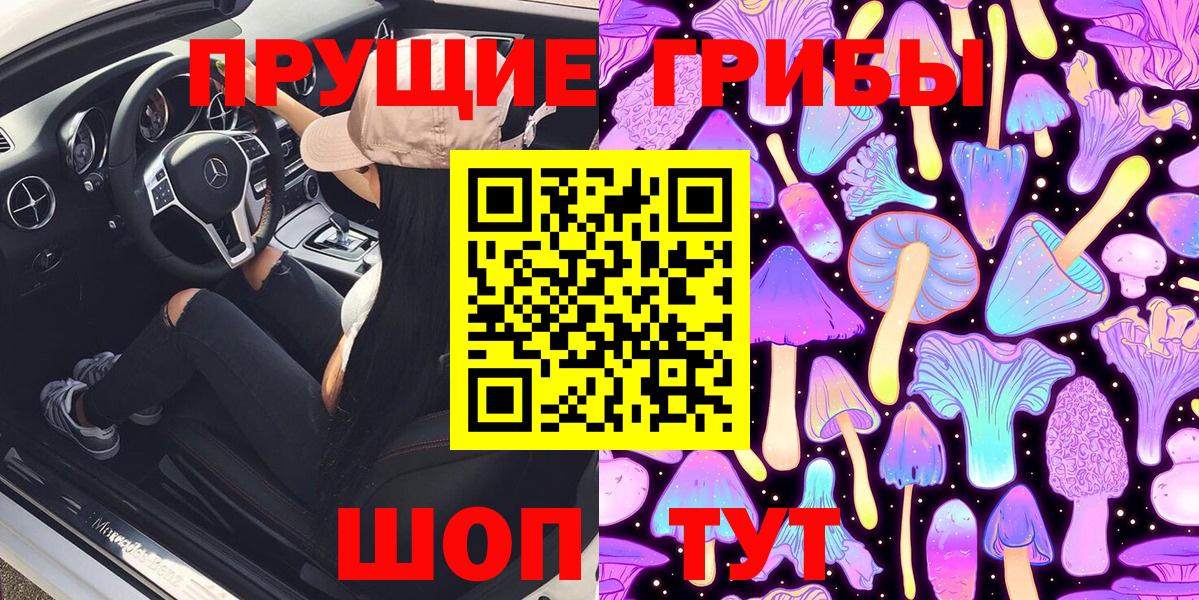 Псилоцибиновые грибы Cubensis Приморско-Ахтарск